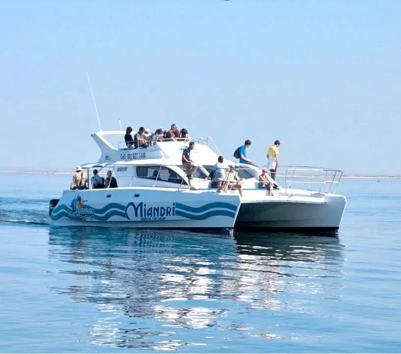 Marine catamaran