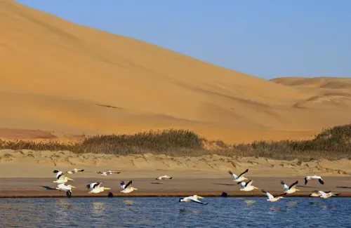 Sandwich Harbour lagoon